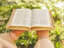 The Ultimate Guide to Bible Reading Apps